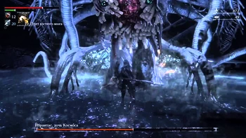 Bloodborne. : ,  