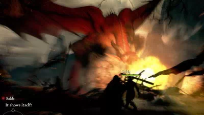 Dragon's Dogma: Dark Arisen.  1