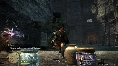 Dragon's Dogma: Dark Arisen.  6