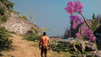 Far Cry New Dawn.  