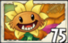 Primal Sunflower