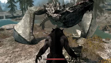 Skyrim. 