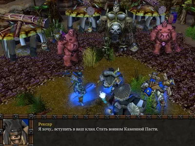 WarCraft 3.  