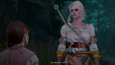 Witcher 3: Wild Hunt.  .  